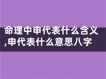 命理中申代表什么含义,申代表什么意思八字