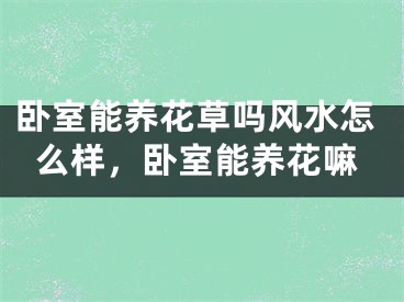 卧室能养花草吗风水怎么样,卧室能养花嘛