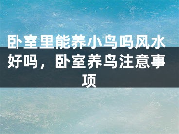 卧室里能养小鸟吗风水好吗,卧室养鸟注意事项