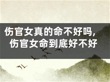 伤官女真的命不好吗,伤官女命到底好不好