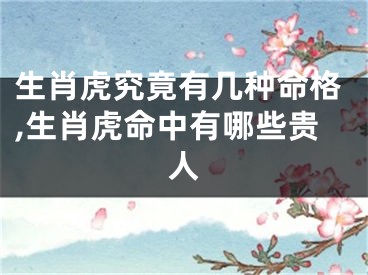 生肖虎究竟有几种命格,生肖虎命中有哪些贵人