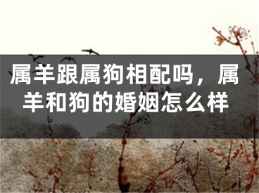 属羊跟属狗相配吗,属羊和狗的婚姻怎么样