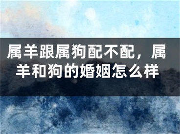 属羊跟属狗配不配，属羊和狗的婚姻怎么样