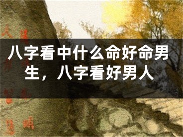 八字看中什么命好命男生,八字看好男人