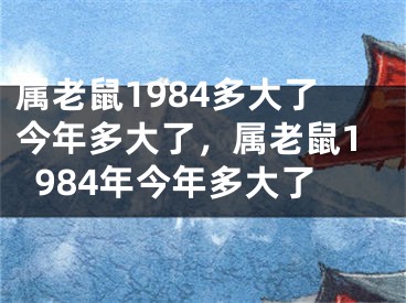 属老鼠1984多大了今年多大了，属老鼠1984年今年多大了